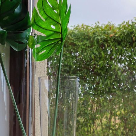 Belvilla By Oyo Modern Villa In Nissoria With Pool 外观 照片